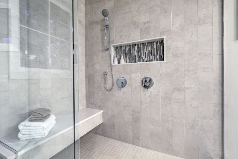Sleek Shower Remodel